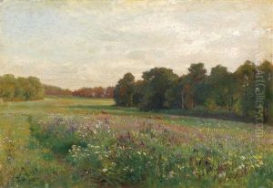 Blumenwiese