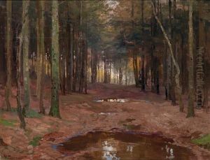 Waldinterieur by Hugo Darnaut