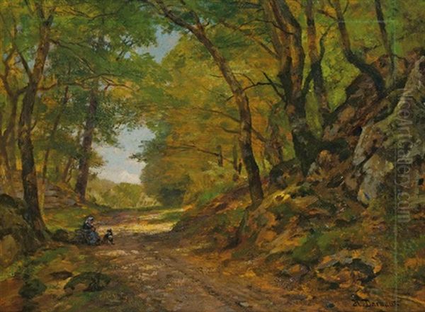 Waldweg - view 1