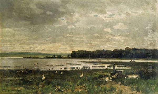 Seelandschaft Mit Storchen - view 1