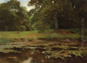 Seerosenteich Mit Rehwild In Der Abenddammerung by Hugo Darnaut