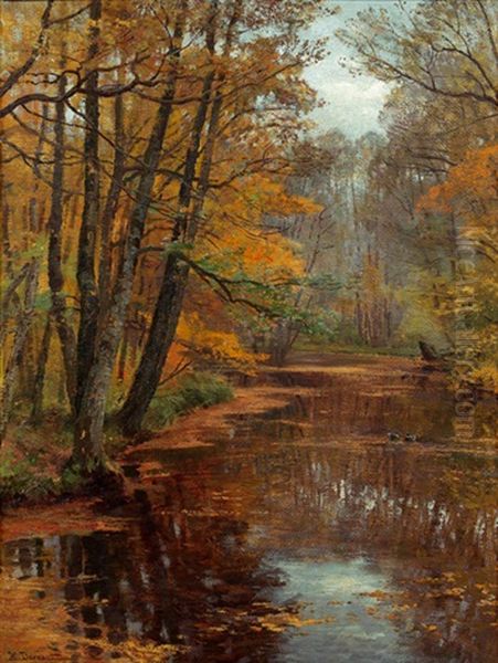Waldteich Im Spatherbst - view 1