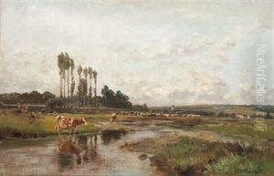 Rinderherde Am Flussufer