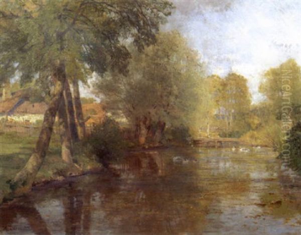 Dorfteich In Niederosterreich - view 1