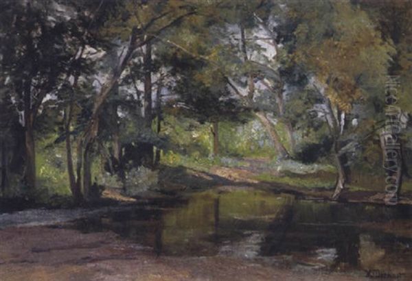 Waldlandschaft Mit Einem Teich Im Vordergrund - view 1
