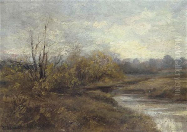 Aulandschaft - view 1