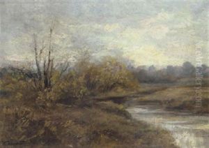 Aulandschaft