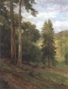 Waldlichting Bei Merkenstein