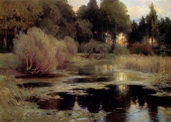 Untergehende Sonne In Aulandschaft - view 1