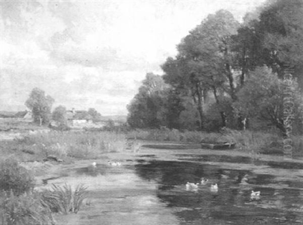 Kleine Teichlandschaft Mit Enten - view 1