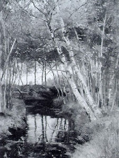 Waldlandschaft - view 1