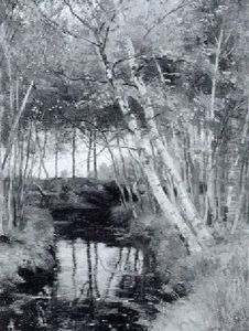 Waldlandschaft by Hugo Darnaut