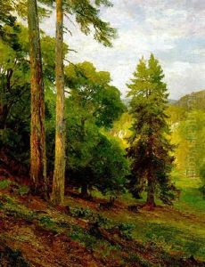 Bewaldete Landschaft Bei Merkenstein