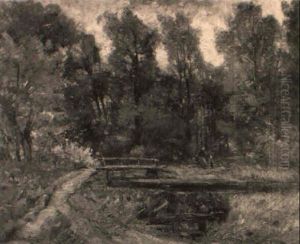 Der Waldweg