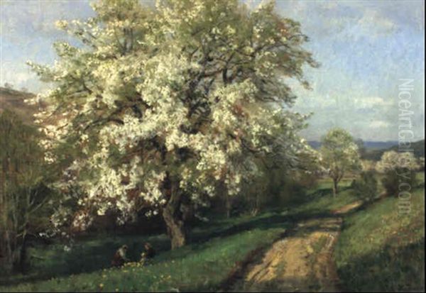 Obstblute Bei Plankenberg - view 1