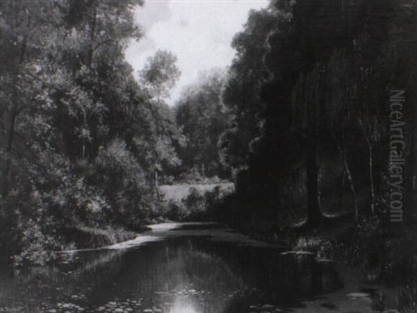 Stiller Waldweiher Mit ,senden Rehen Am Jenseitigen Ufer - view 1