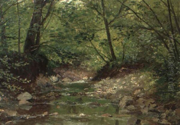 Der Waldbach - view 1