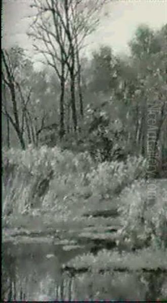 Teichlandschaft - view 1