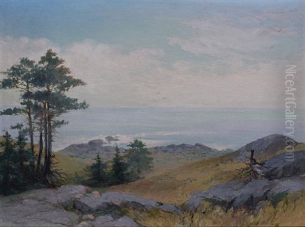 Norton's Ledge, Monhegan Island, Maine - view 1