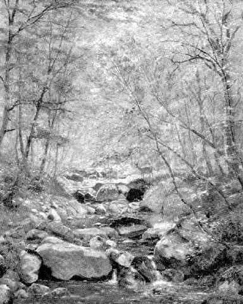 Rehe Am Waldbach - view 1