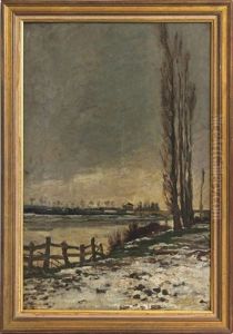 Berge Aux Peupliers En Hiver