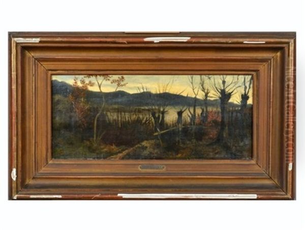 Untitled, Forrest Landscape - view 1