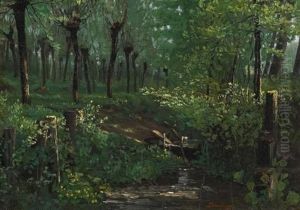 Waldesdickicht Waldesdickicht