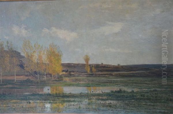 Les Marais D'optevoz - view 1