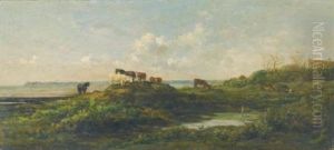 Vaches Au Bord De La Mare, Aux Hauteurs De Villerville