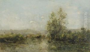 The River Scenery With Wild Birds