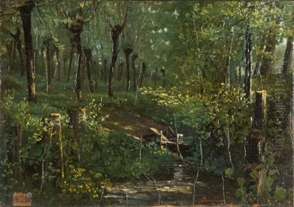 Sous Bois - view 1