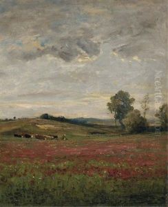 Champs De Coquelicots, Vaux