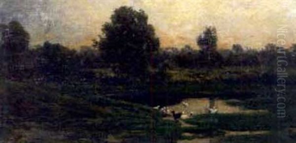Woodland Pond - view 1