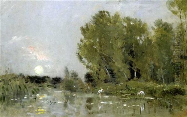 Coucher De Soleil Sur Un Marais. Cigognes Et Canards - view 1