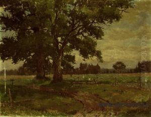 Oaks by Jekabs Apinis