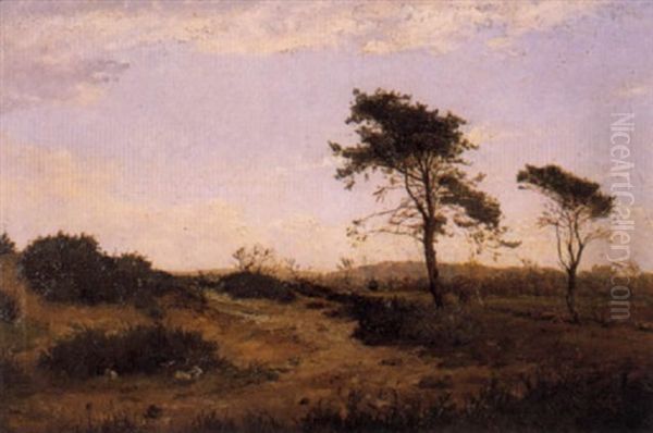 Paysage - view 1