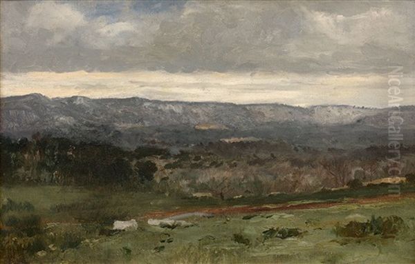 Le Chemin De Terre Sous Un Ciel Nuageux - view 1