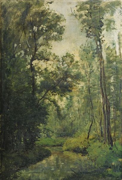 Sous-bois - view 1