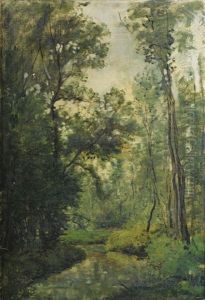 Sous-bois