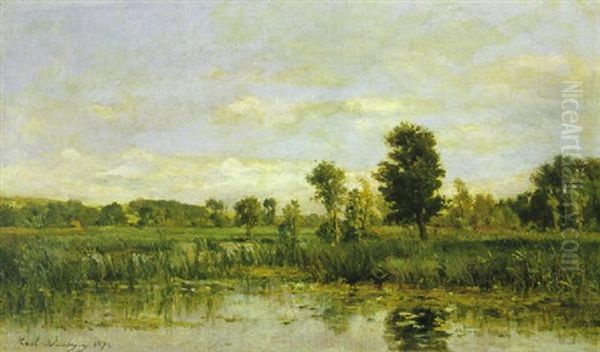 Marsh View - view 1