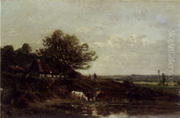 Cows Watering By The Rivers Edge - view 1