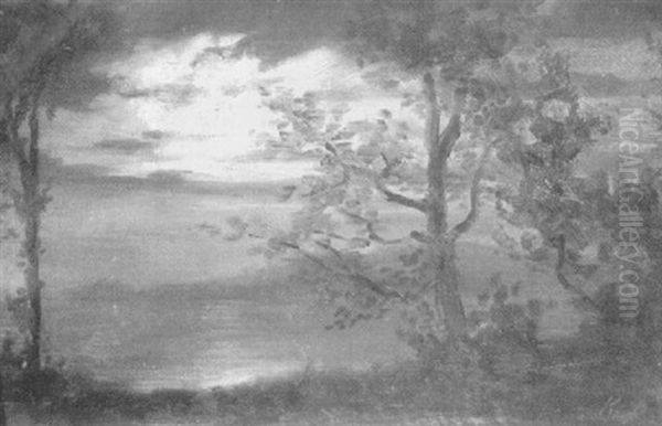Seelandschaft Mit Baumen Im Mondlicht - view 1