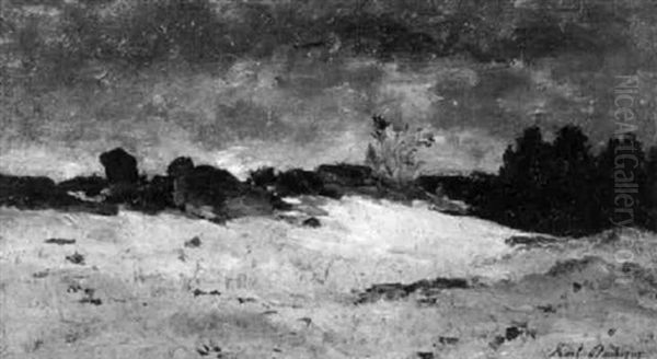 Dunenlandschaft - view 1