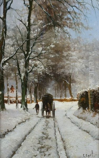 Snow Covered Road - view 1