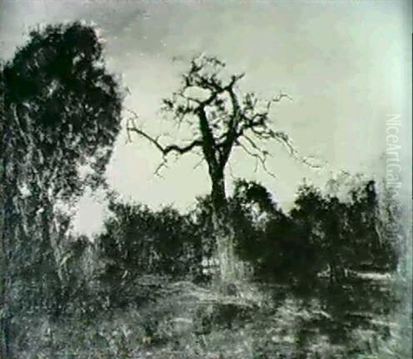 Clariere En Foret De Fontainebleau - view 1