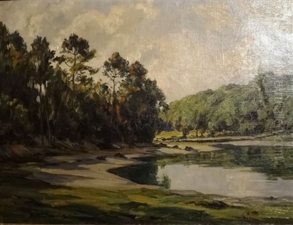 Paysage A L'etang Borde D'arbres - view 1
