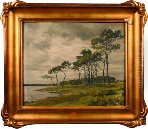 Bord De Mer Arbore - view 1