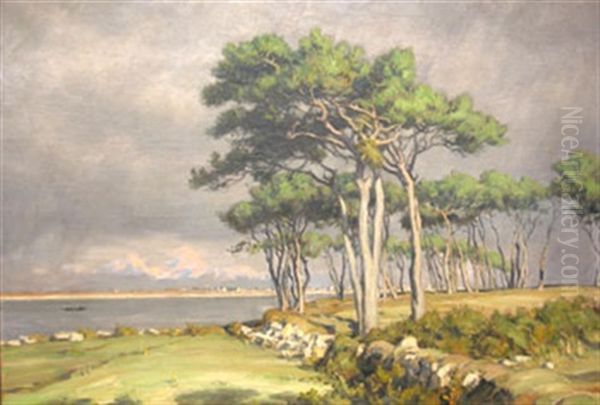 Les Pins En Bord De Mer - view 1