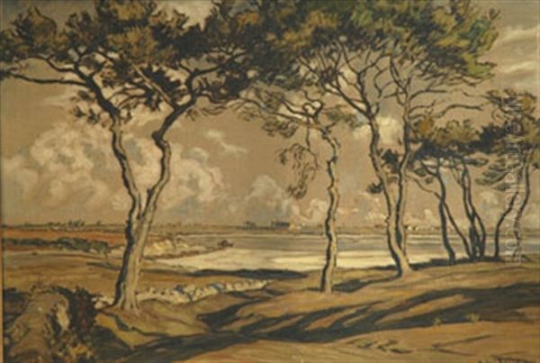 Les Pins En Bord De Mer - view 1