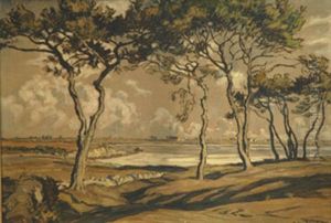 Les Pins En Bord De Mer